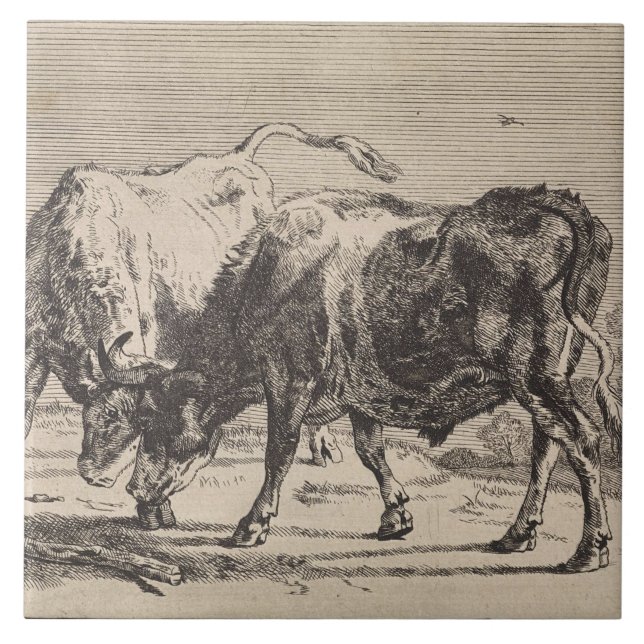 Azulejo De Cerâmica Dois Bulls de Combate (por Paulus Potter) (Frente)