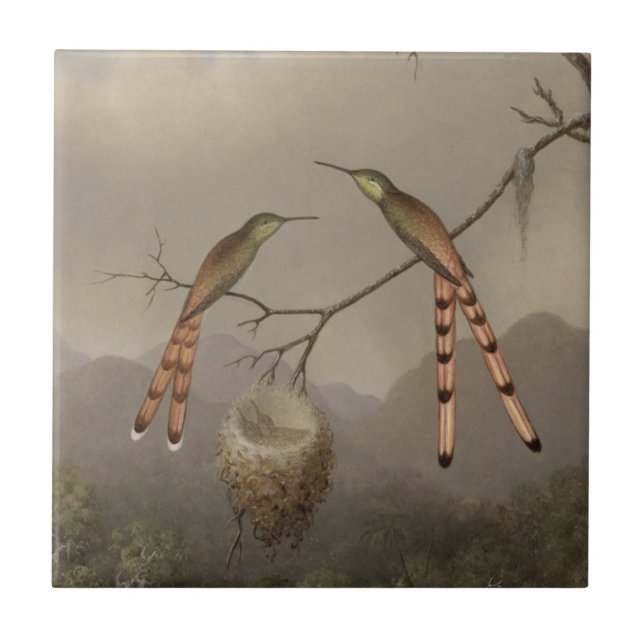 Azulejo De Cerâmica Dois colibris com seus jovens (Frente)