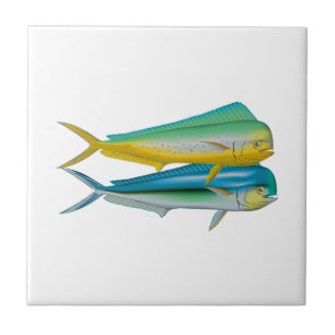 AZULEJO DE CERÂMICA DOIS DELES