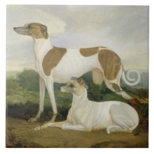 Azulejo De Cerâmica Dois galgos em uma paisagem (óleo em canvas)