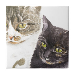 Azulejo De Cerâmica Dois gatos - malhado e tartaruga