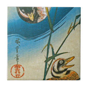 Azulejo De Cerâmica Dois Patos Nadando Entre As Sementes