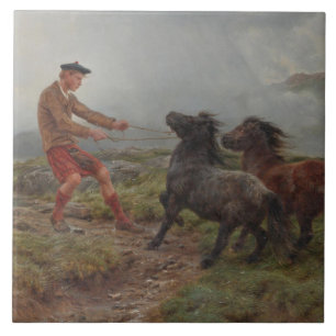 Azulejo De Cerâmica Dois Pôneis Shetland numa Paisagem Terrestre Mistu