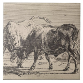 Azulejo De Cerâmica Dois Touro Lutando (por Paulus Potter)