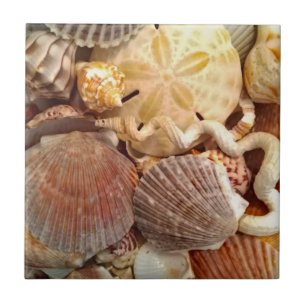 Azulejo De Cerâmica Dólar de areia Beachy dos Seashells