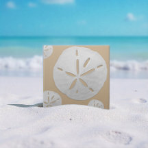 Dólar de Areia de Praia Tropical Bege e Branco