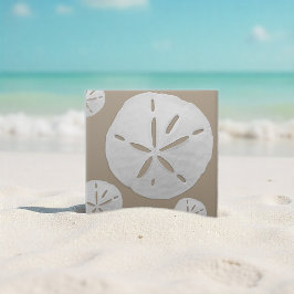 Azulejo De Cerâmica Dólar de Areia de Praia Tropical Bege e Branco Pro
