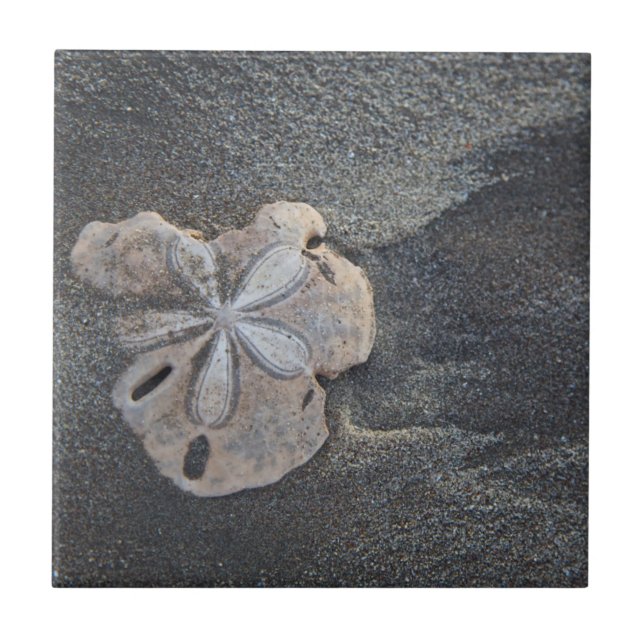 Azulejo De Cerâmica Dólar de areia na areia (Frente)