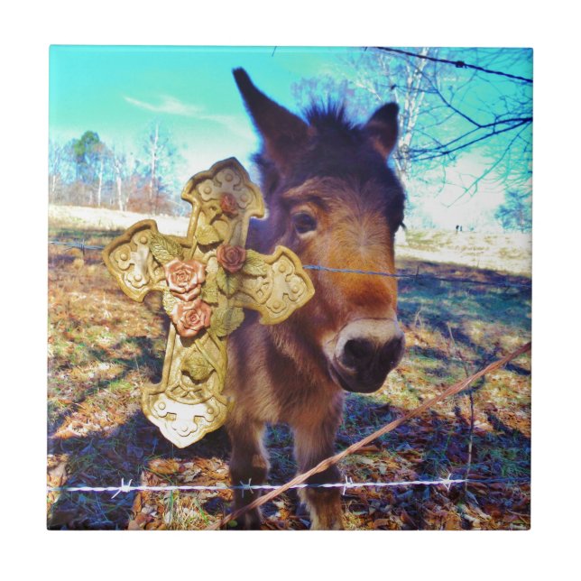Azulejo De Cerâmica Donkey com Rosa Cross (Frente)