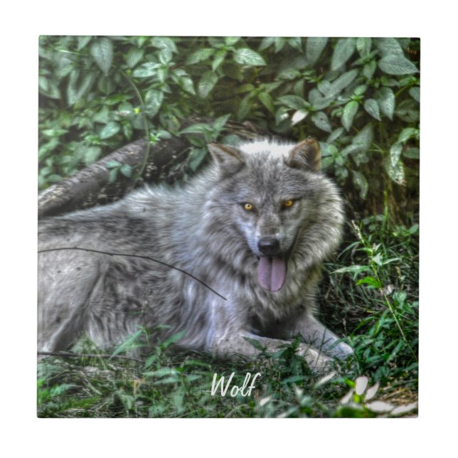 Azulejo De Cerâmica Dono de Cinzas Wolf 3 Wildlife Gift (Frente)