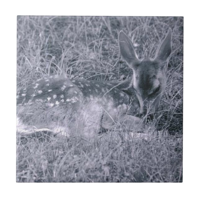 Azulejo De Cerâmica Dormindo (Frente)