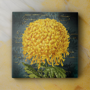 Azulejo De Cerâmica Dourado crisântemo no Teal Damask e Manuscrito