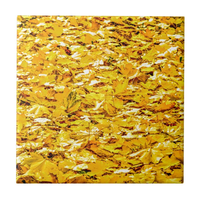 Azulejo De Cerâmica Dourado do outono (Frente)