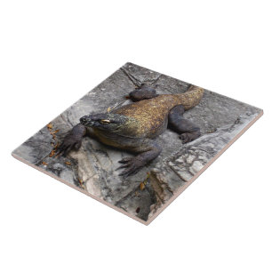 Azulejo De Cerâmica Dragão de Komodo em Rochas Quentes
