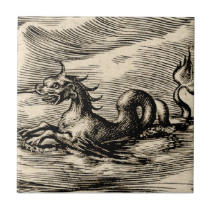 Azulejo De Cerâmica Dragão do mar no equador