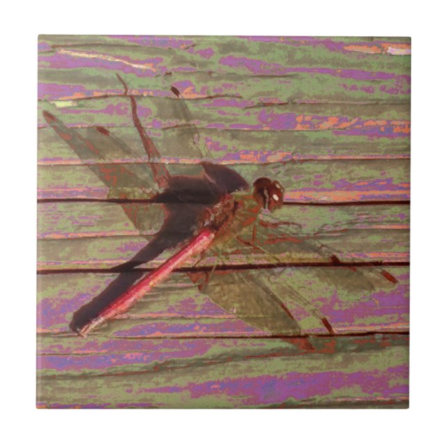 Azulejo De Cerâmica Dragonfly Colorful (Frente)