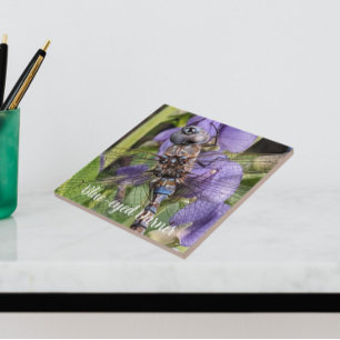 Azulejo De Cerâmica Dragonfly Darner de olhos azuis na Flor