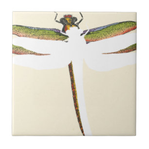 Azulejo De Cerâmica Dragonfly Miniatura em Fundo Branco