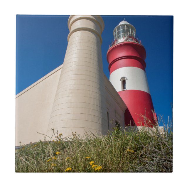 AZULEJO DE CERÂMICA  _DSC2418 (Frente)