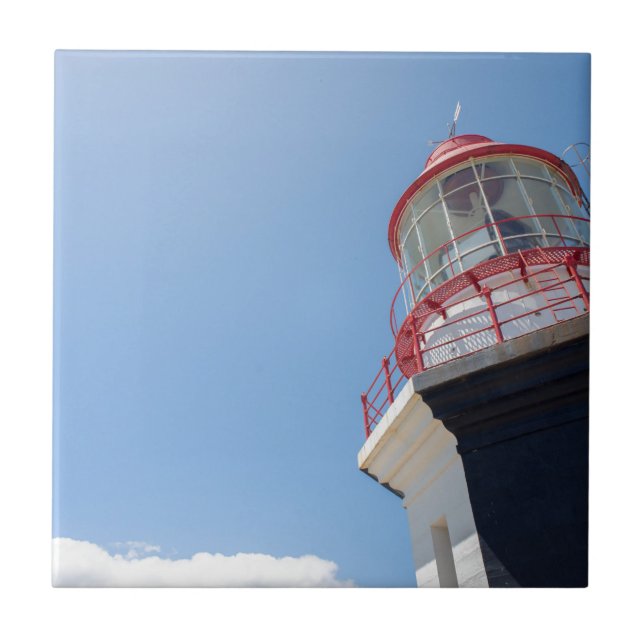 AZULEJO DE CERÂMICA  _DSC3440 (Frente)