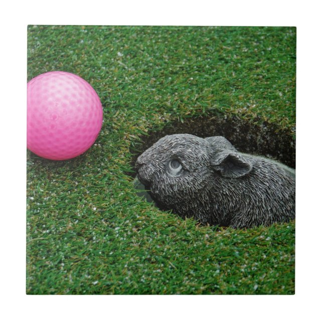 AZULEJO DE CERÂMICA  DSCF0652.JPG (Frente)