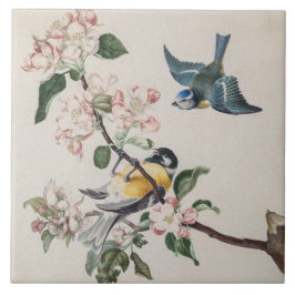 Azulejo De Cerâmica Duas aves de tenda em uma macieira