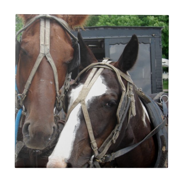 Azulejo De Cerâmica Duas Equipes De Cavalo Com Um Pinto (Frente)