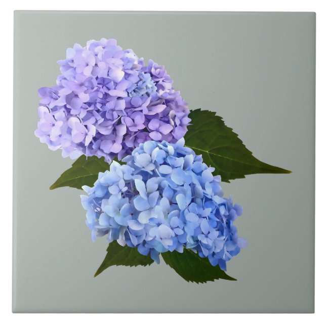 Azulejo De Cerâmica Duas Lavandas Hydrangea e Azul (Frente)