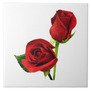 Azulejo De Cerâmica Duas Rosas vermelhas