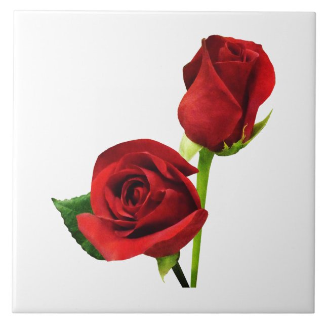 Azulejo De Cerâmica Duas Rosas Vermelhas (Frente)