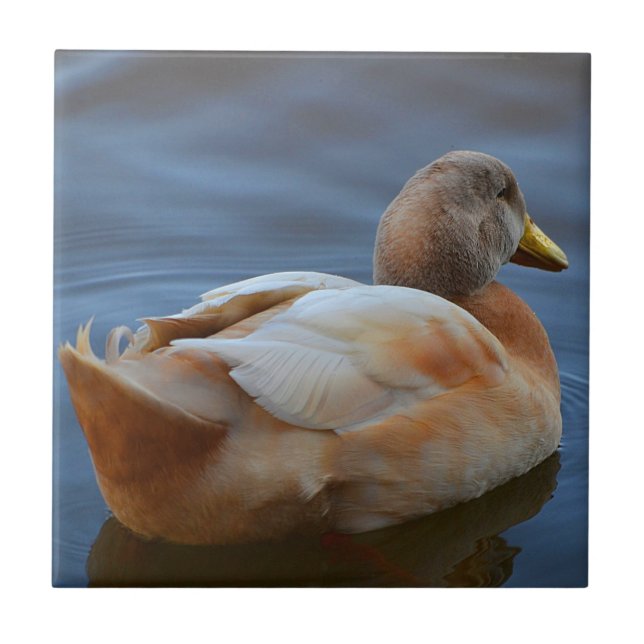 Azulejo De Cerâmica Duck Trivet (Frente)
