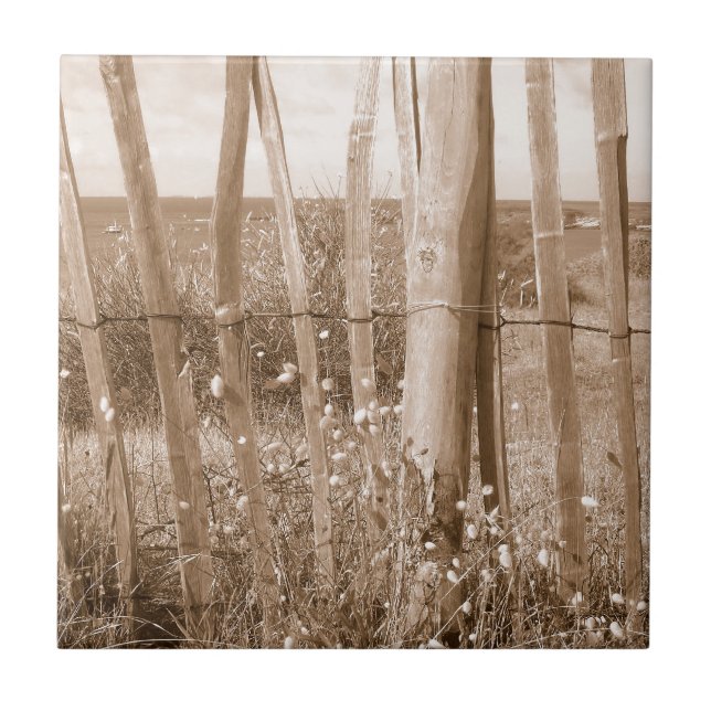 Azulejo De Cerâmica duna (Frente)