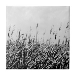 Azulejo De Cerâmica Dune Triptych III