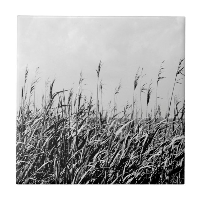 Azulejo De Cerâmica Dune Triptych III (Frente)