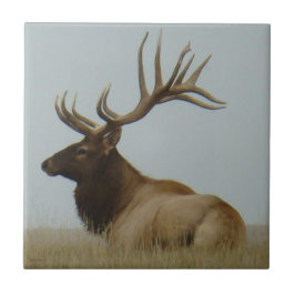 Azulejo De Cerâmica E5 Bull Elk Huge