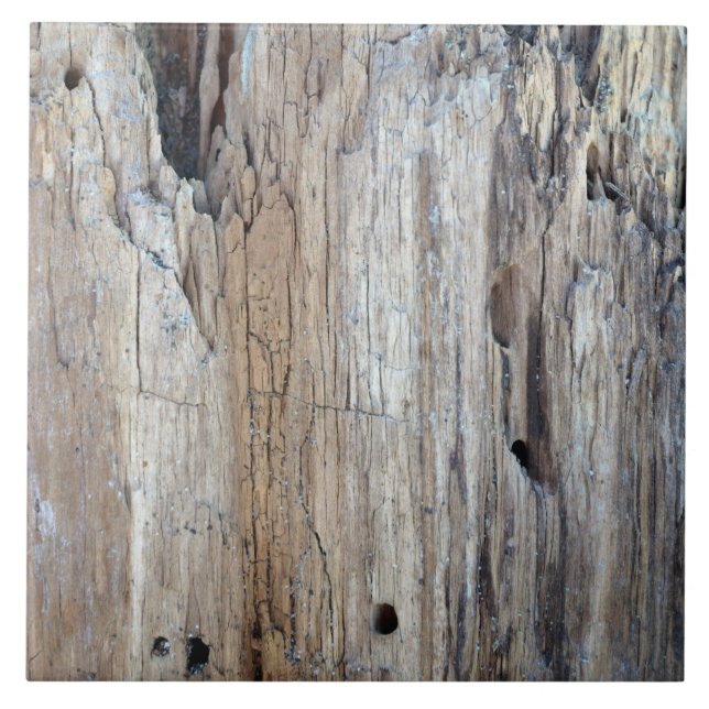 Azulejo De Cerâmica É isso uma parte de madeira lançada costa (Frente)