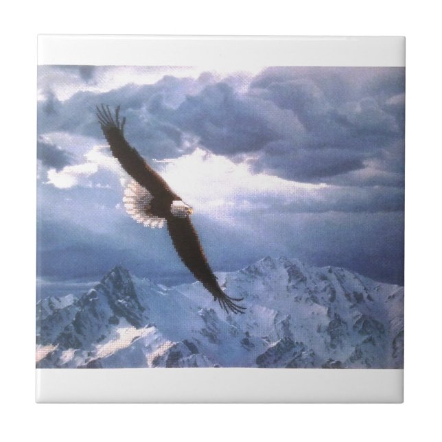 Azulejo De Cerâmica Eagle resiste à tempestade (Frente)