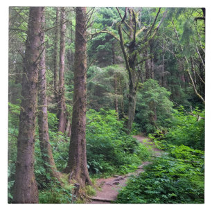 Azulejo De Cerâmica Eco-a State Park, Cannon Beach, Oregon