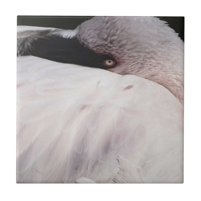 Azulejo De Cerâmica Efeito de desenho de retrato de flamingo rosa Arte (Frente)