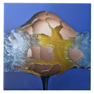 Azulejo De Cerâmica Eggceptional