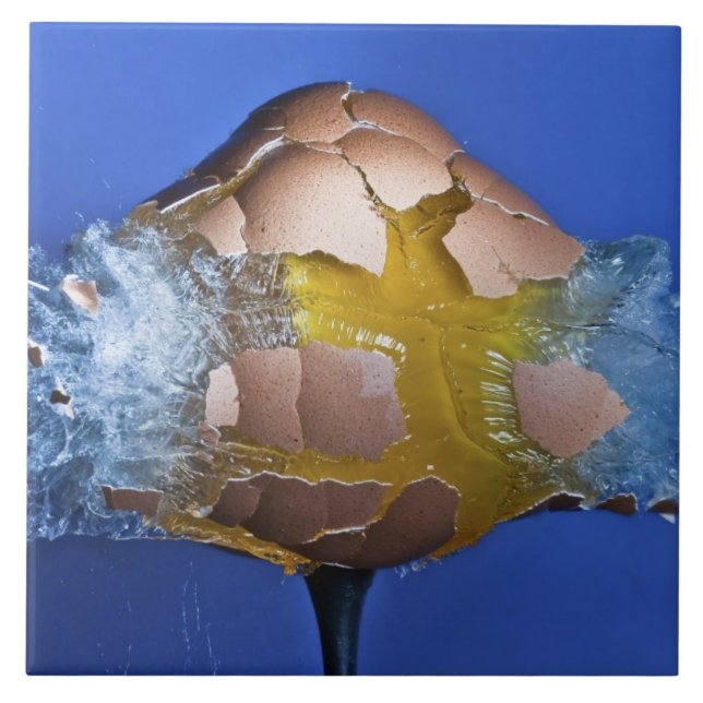 Azulejo De Cerâmica Eggceptional (Frente)