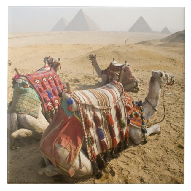 Azulejo De Cerâmica Egito, Cairo. Camelos descansando (Frente)