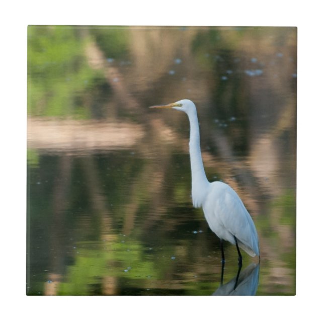Azulejo De Cerâmica Egret Branco do excelente (Frente)