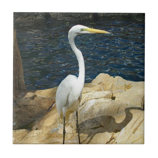 Azulejo De Cerâmica Egret Branco Na Praia (Frente)