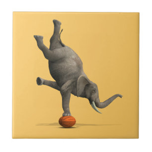 Azulejo De Cerâmica Elefante Artístico