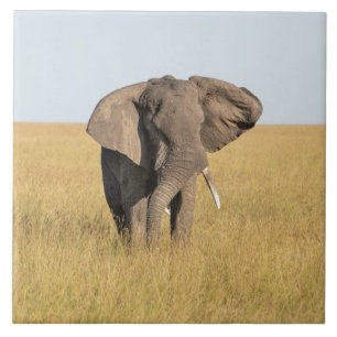 Azulejo De Cerâmica Elefante No Estabelecimento Natural Africano De Az