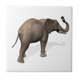 Azulejo De Cerâmica Elefante Tomando Uma Selfie