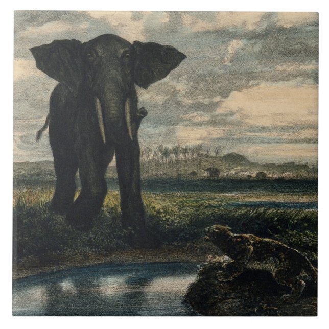 Azulejo De Cerâmica Elefantes e Pantera no Deserto Indiano (Frente)