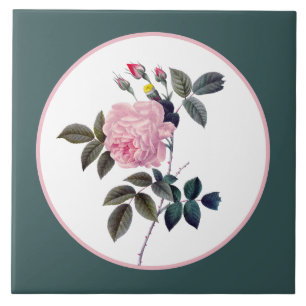 Azulejo De Cerâmica Elegante rosa floral cor-de-rosa vintage