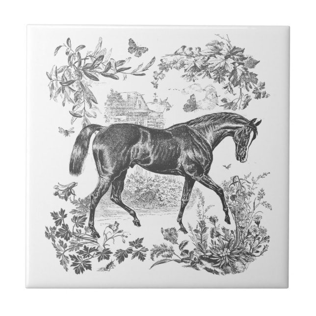 Azulejo De Cerâmica Elegante Tropa Rústica de Cavalo Negro (Frente)
